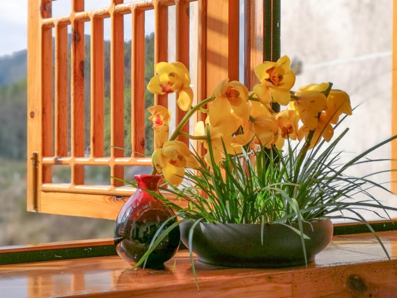 Zhangjiajie National Park Yuelu Homestay Zewnętrze zdjęcie